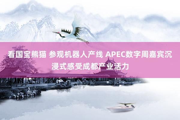 看国宝熊猫 参观机器人产线 APEC数字周嘉宾沉浸式感受成都产业活力
