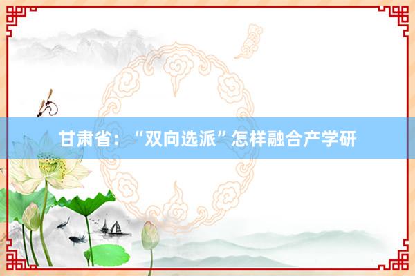 甘肃省：“双向选派”怎样融合产学研