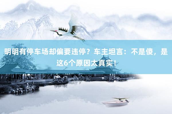 明明有停车场却偏要违停？车主坦言：不是傻，是这6个原因太真实！