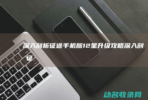 深入剖析征途手机版12星升级攻略 (深入剖析征途的句子)
